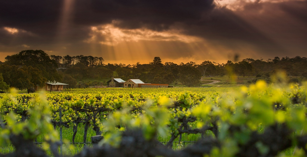 St Hugo Tour Group Premium Tasting Experience (Private Group Experience) - Photo 1 of 1