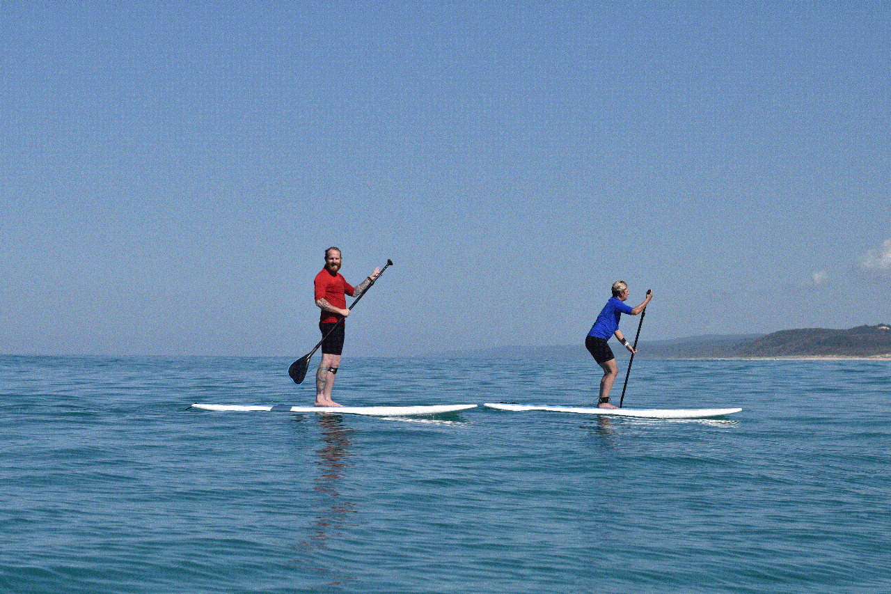Noosa: Epic Stand Up Paddle Wildlife Tour & Beach 4x4 Double Island Point - Photo 1 of 11