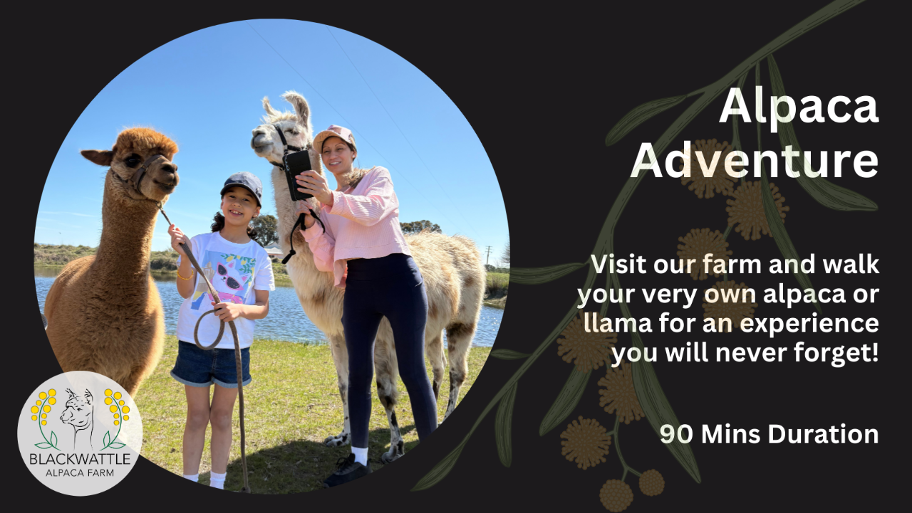 Alpaca Adventure - Photo 1 of 4