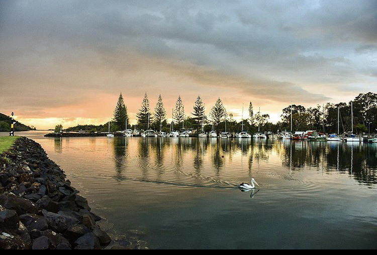 Sunrise Brunswick River Nature Kayak Tour - Photo 1 of 7