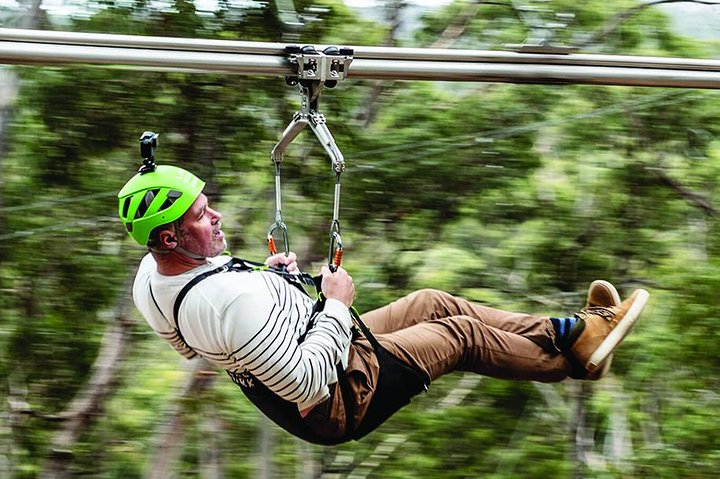 Experience the beauty of the Great Ocean Road while soaring through the trees blending comfort with adventure in this unforgettable tour from Melbourne. Enjoy nature like never before.