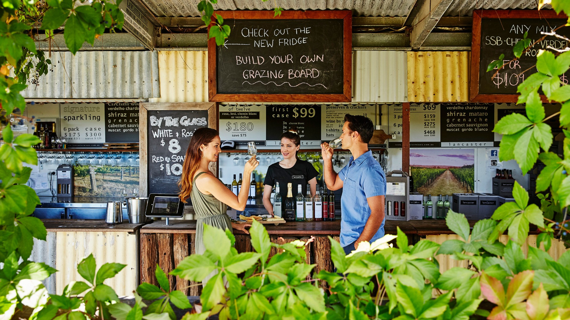 Swan Valley River Lady Cruise and Winery Tour - Photo 1 of 5