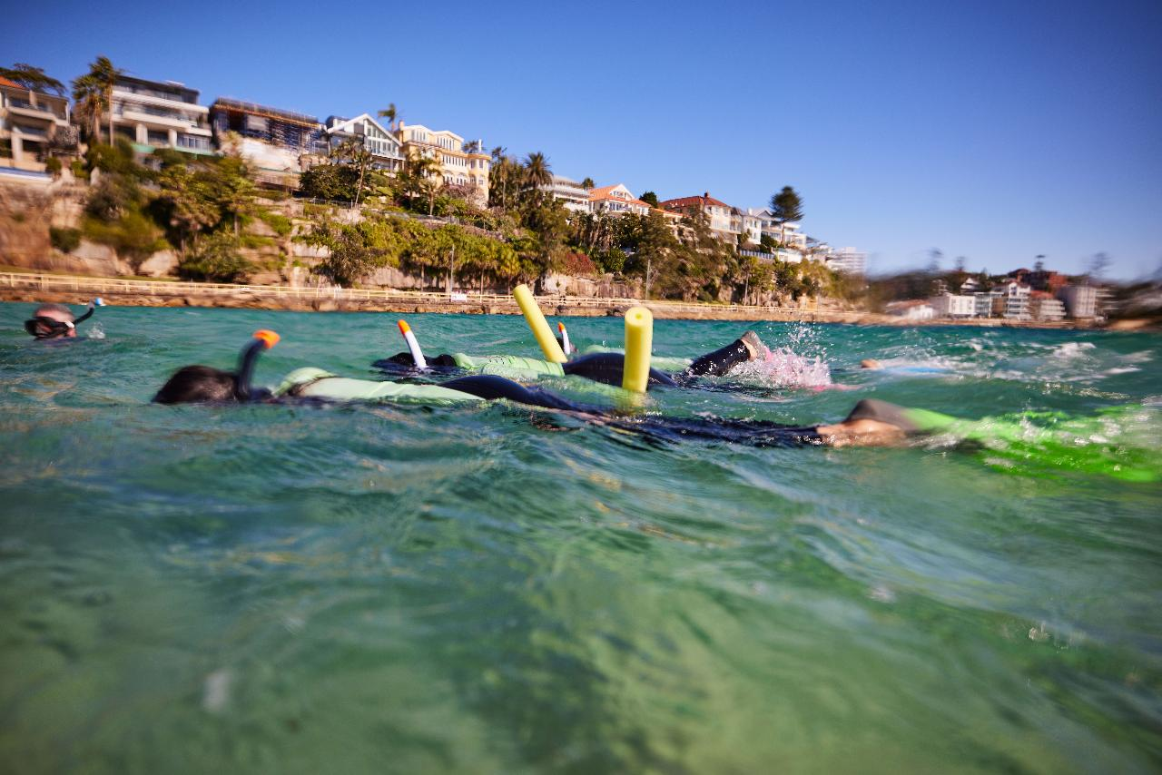 Private Sydney Family Snorkelling Eco Tour - Photo 1 of 4