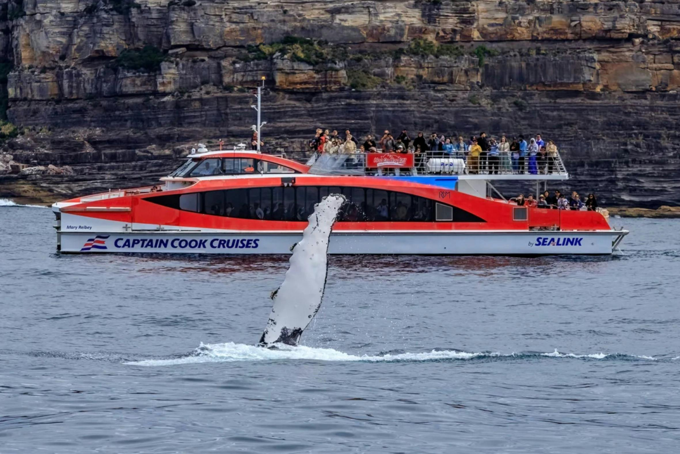 Sydney: Guided Whale Watching Catamaran Cruise + Taronga Zoo Entry Ticket - Photo 1 of 8
