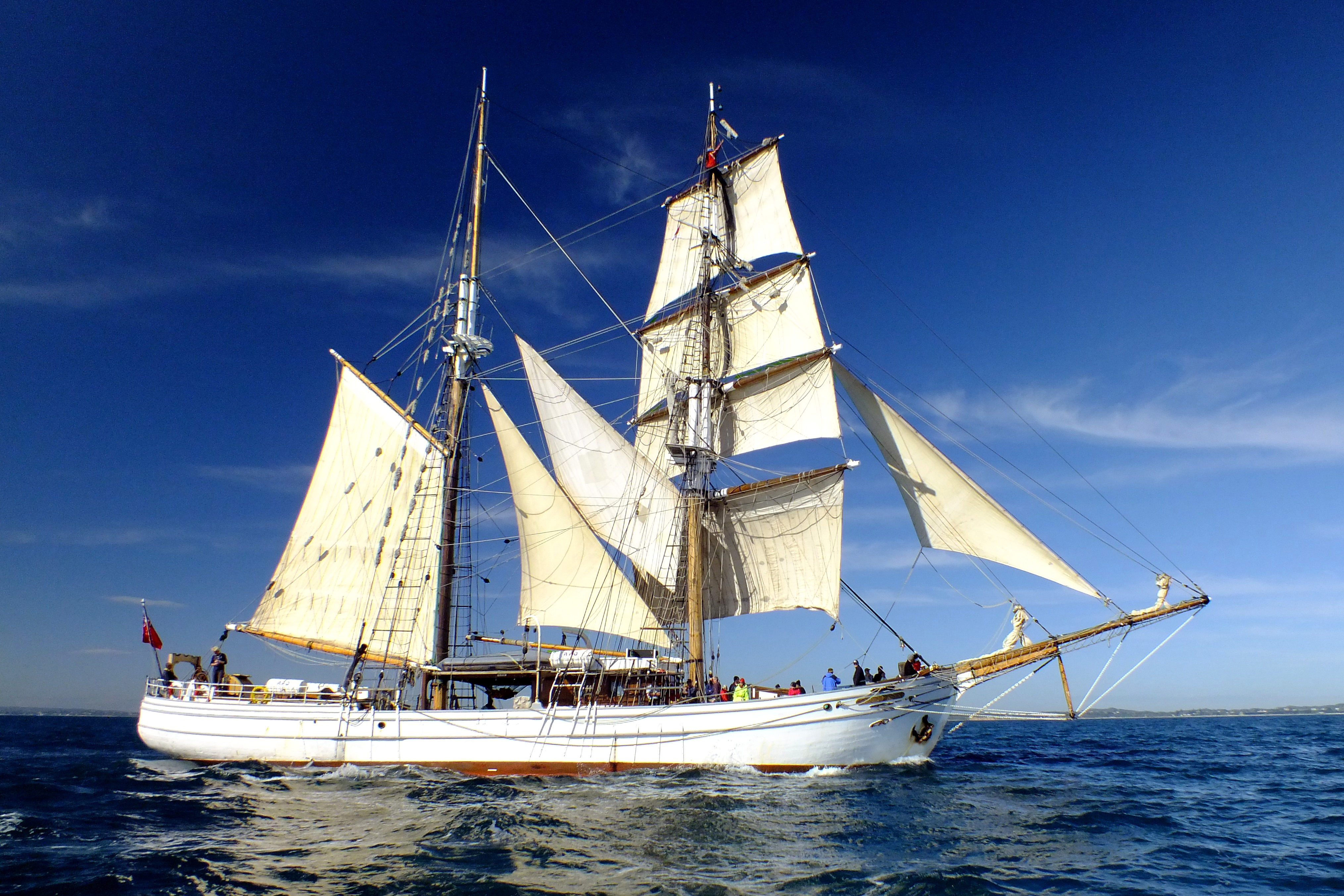 Experience the magic of Sydney Harbour aboard an authentic tall ship enjoying delicious lunch while surrounded by iconic sights like the Sydney Opera House and Harbour Bridge. Join the adventure!