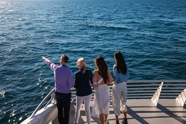 Experience the joy of adventure as you cruise the sparkling waters spotting majestic whales and discovering Sydney's stunning Harbour Precincts at your own pace.