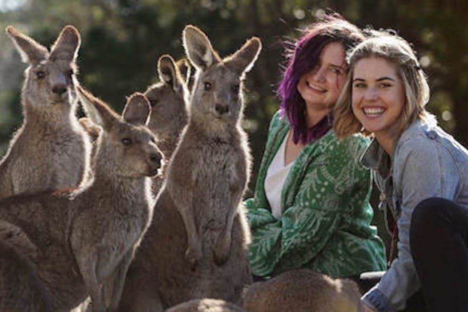 Symbio Wildlife Park: Entry Ticket - Photo 1 of 6