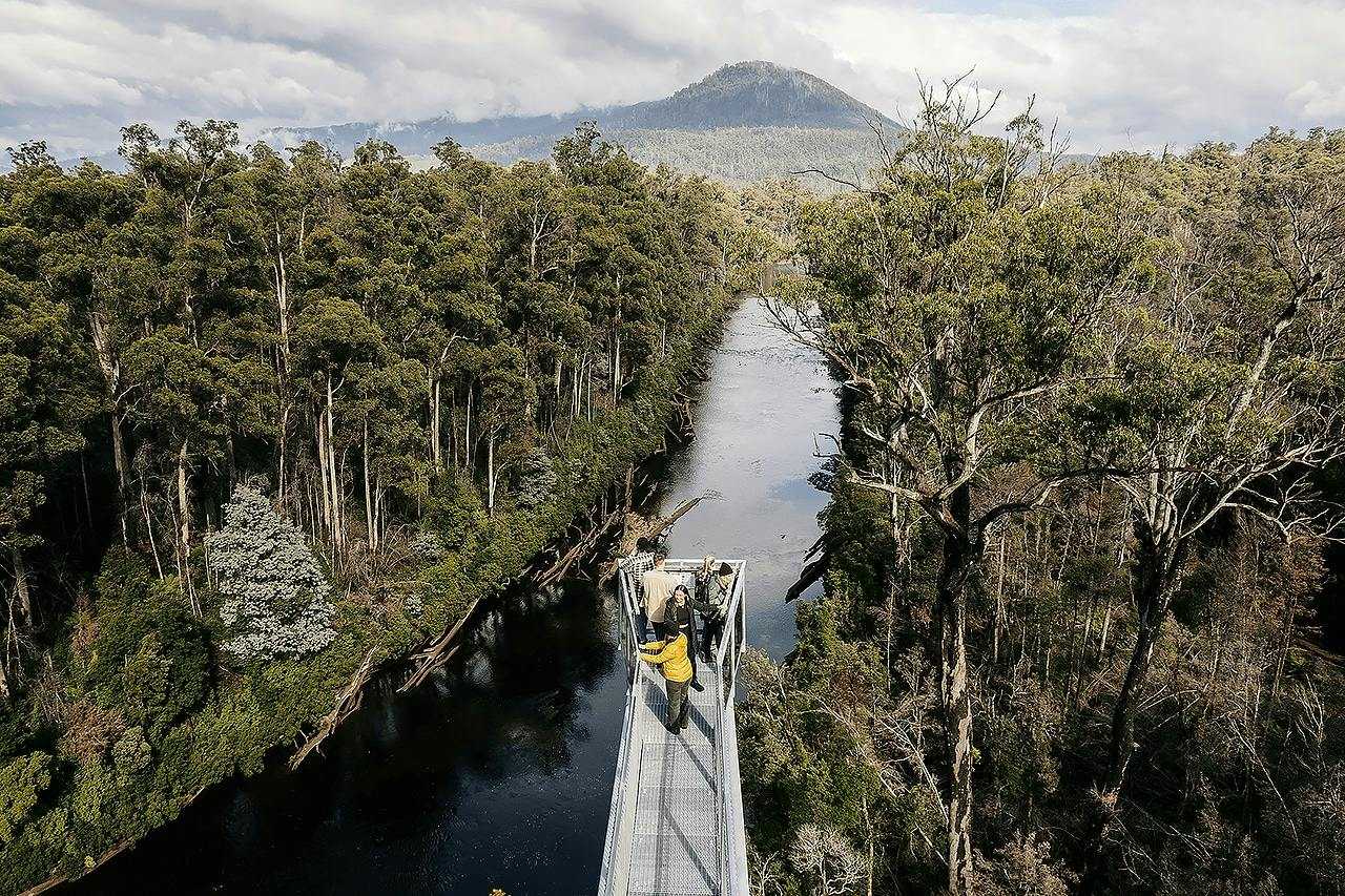 Tahune Adventures: Entry Ticket for the Tahune Airwalk - Photo 1 of 7