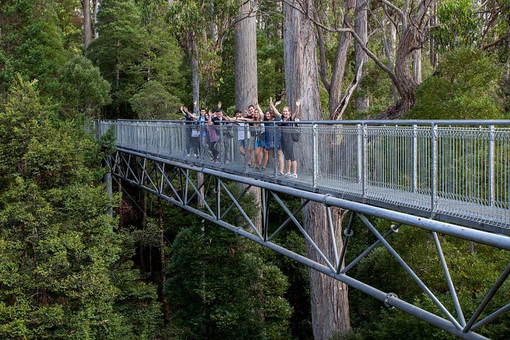 Hobart: Tahune Airwalk, Hastings Caves & Thermal Springs Pool - Photo 1 of 16