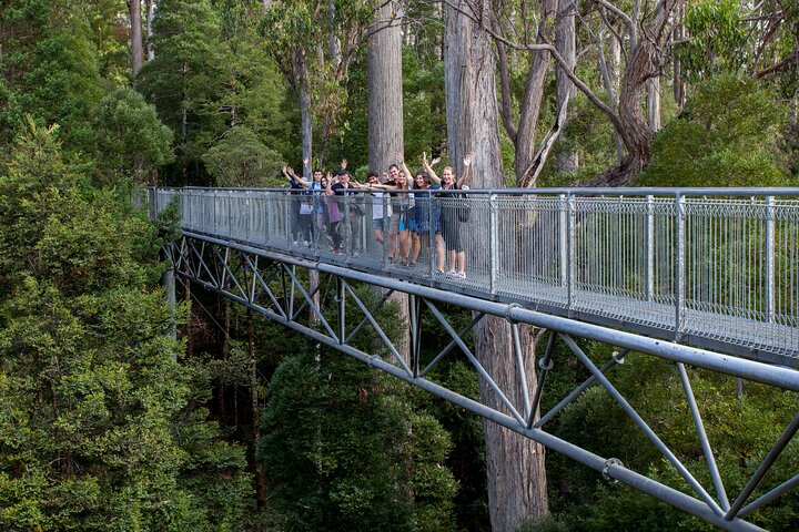 Hobart: Tahune Airwalk, Hastings Caves & Thermal Springs Pool - Photo 1 of 16