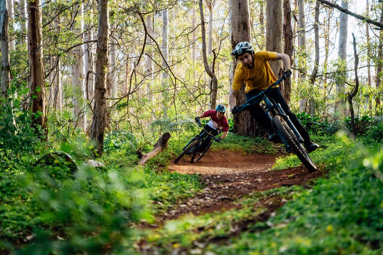 Customised Private eBike Adventure Tour - Photo 1 of 19