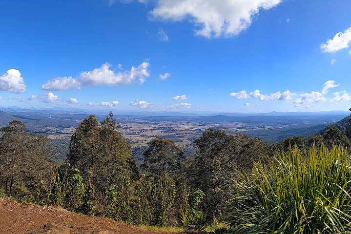 Tamborine Mountain and Paradise Point Tour from Brisbane - Photo 1 of 19
