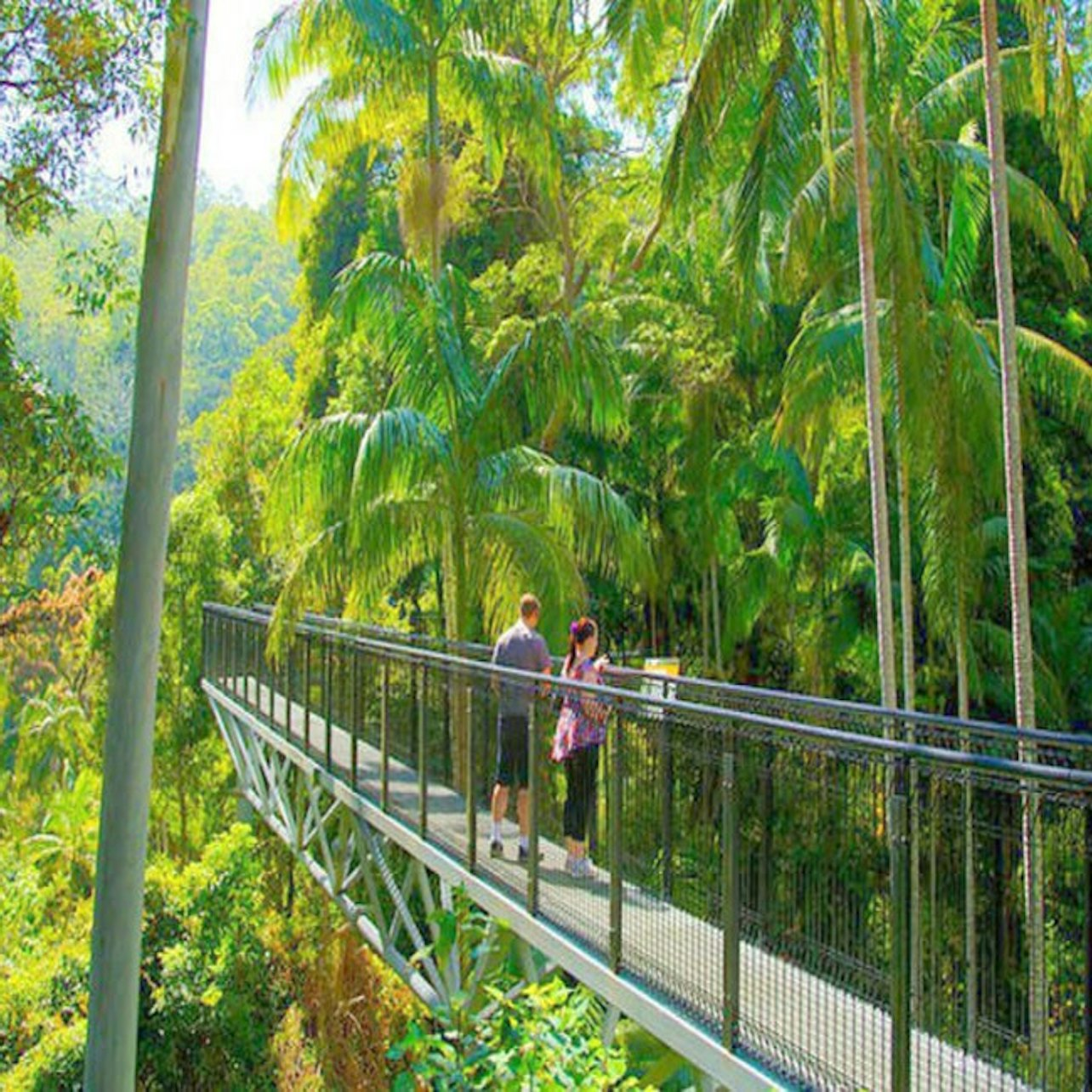 Tamborine Rainforest Skywalk: Entry Ticket - Photo 1 of 6