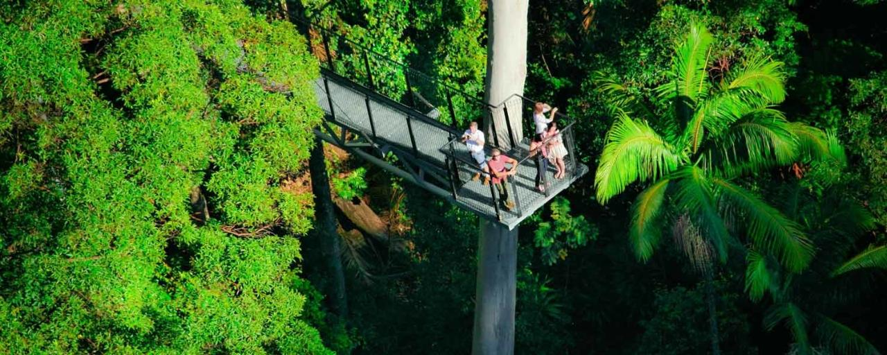 Tamborine Mountain - Hop On Hop Off + Rainforest Skywalk Entrance - from Gold Coast - Photo 1 of 8