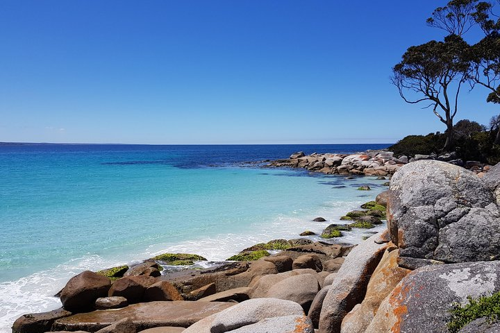 The stunning Bay of Fires on Tasmania's east coast.