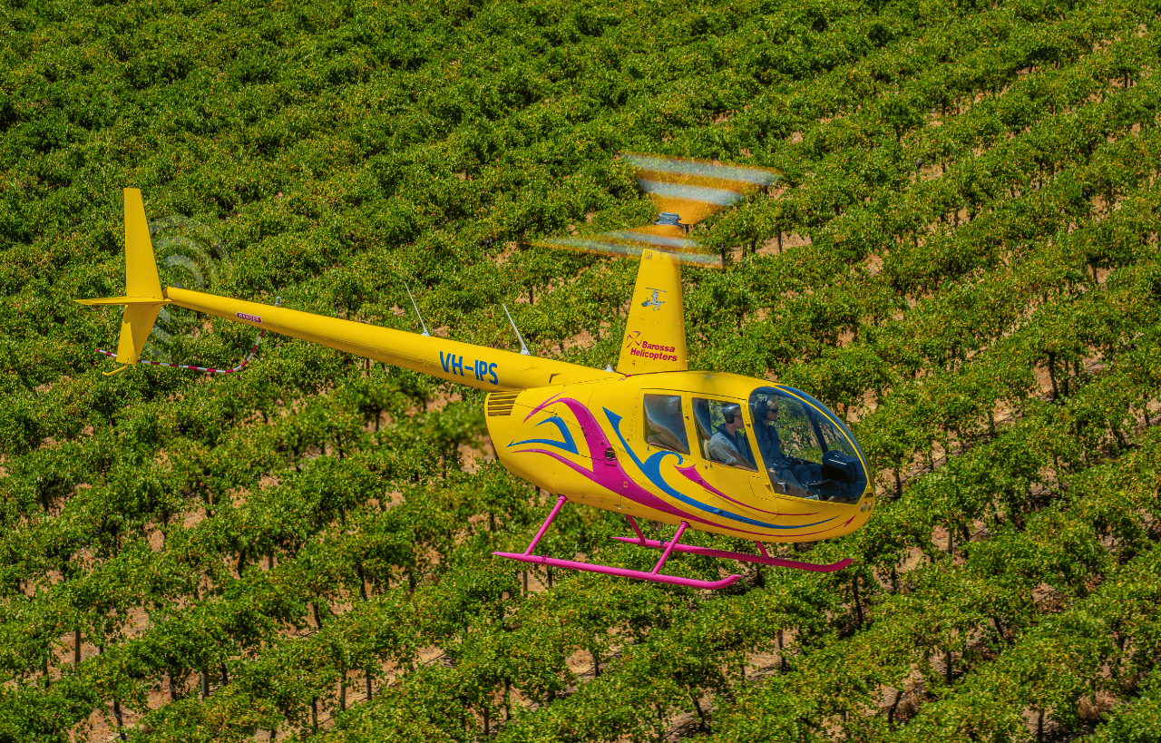 TASTE OF FLIGHT - 4 Minute Scenic Flight - Photo 1 of 2