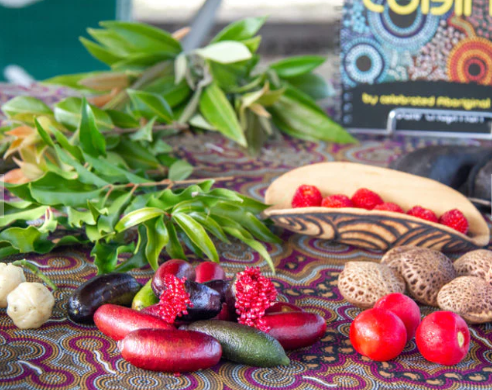 Tasty Tucker - Photo 1 of 9