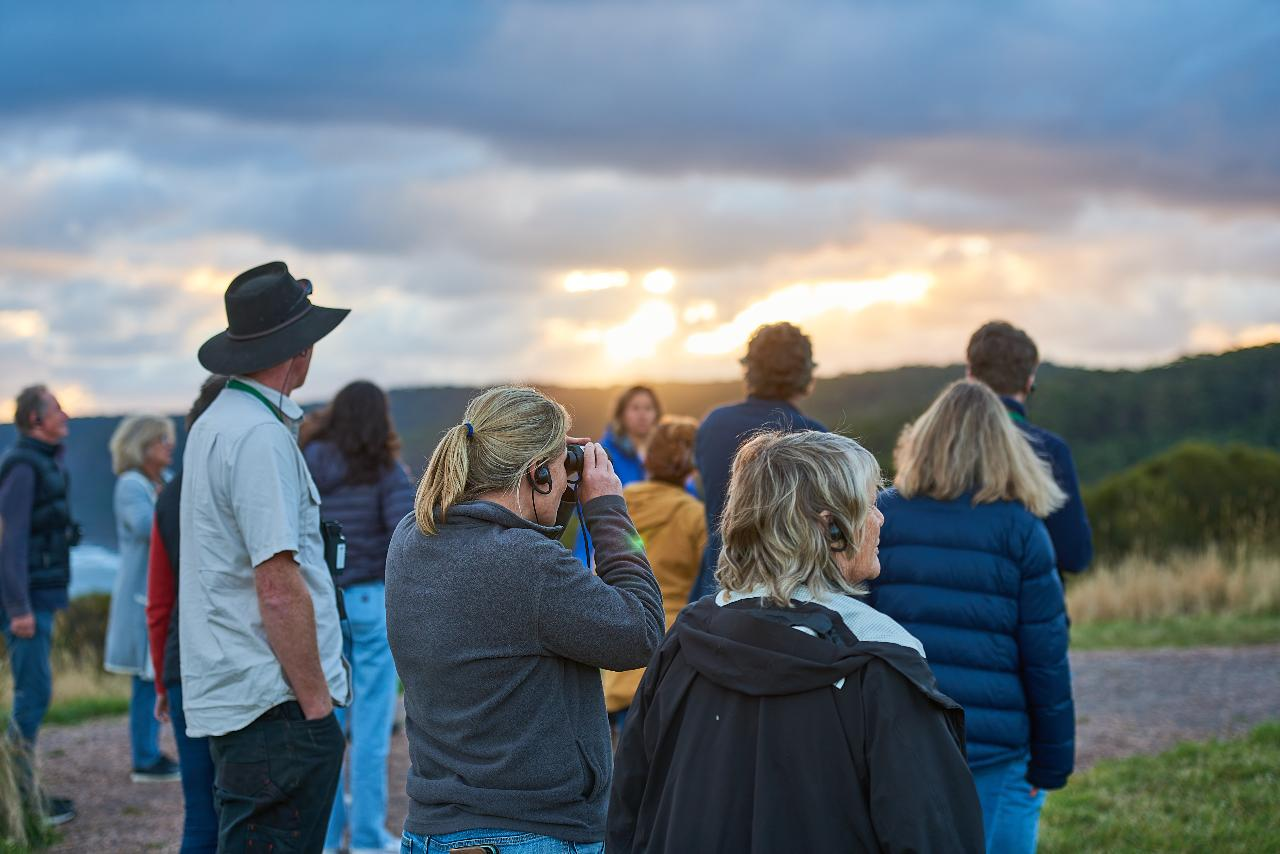 Dusk Discovery Tour (weekends only) - Photo 1 of 8