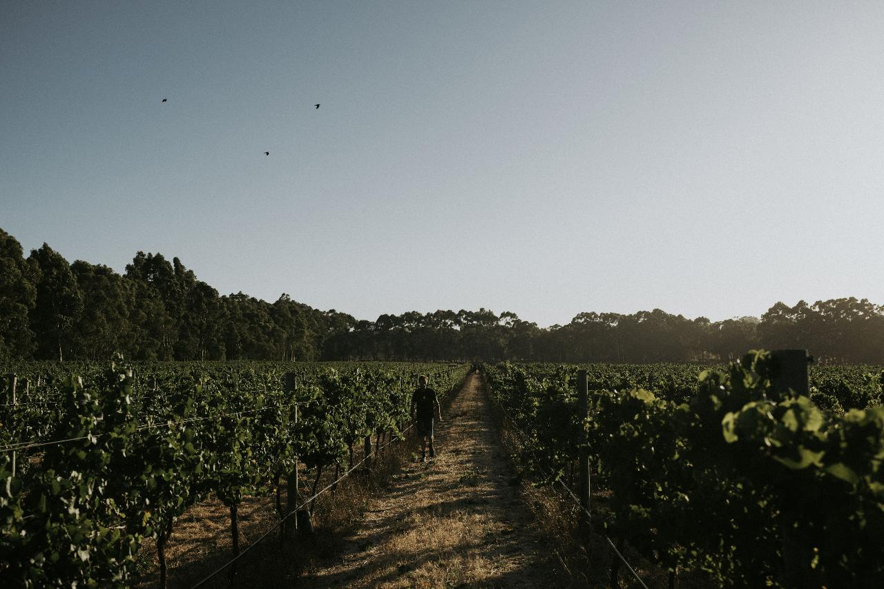 The Epicurean Tour - Photo 1 of 6