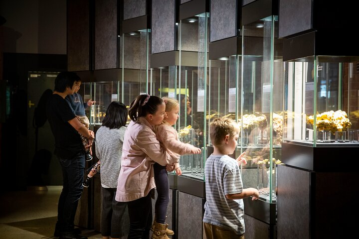 The Perth Mint Gold Tour - Photo 1 of 6