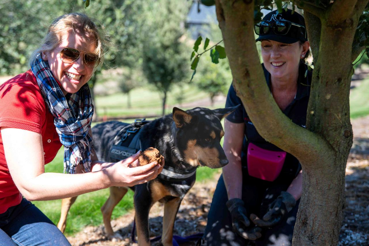 The Ultimate Truffle Retreat: 2 Nights of Scenic Comfort and Private Truffle Hunting. - Photo 1 of 25