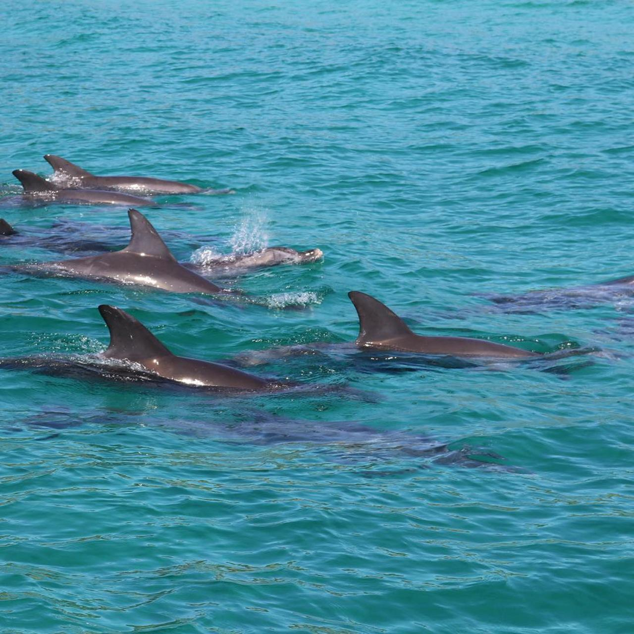 Three Day Charter Margaret River Region ( Perth road travel )  - Photo 1 of 25