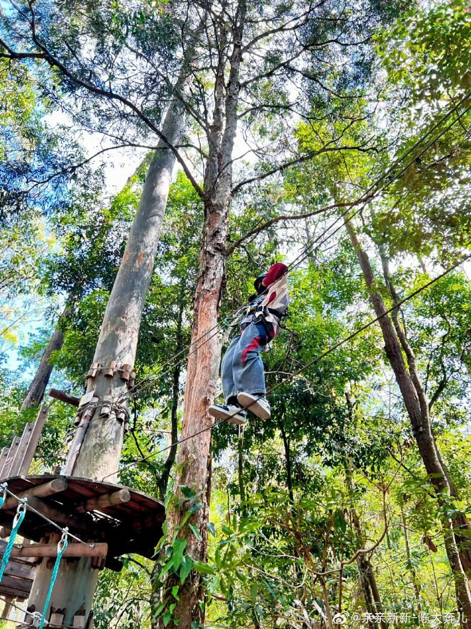 Tree Ropes Standard Session & Zipline Express - Photo 1 of 8