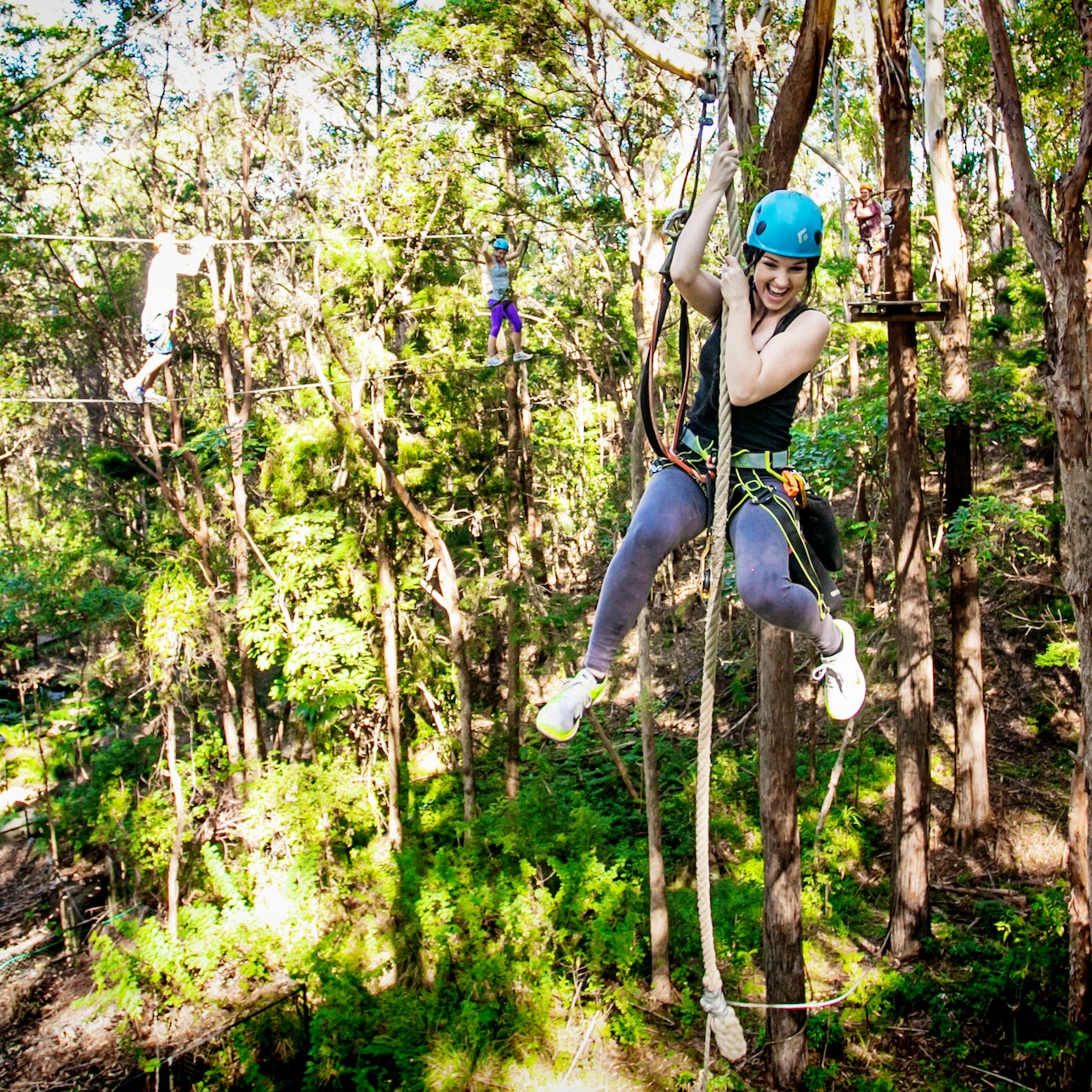 TreeTop Challenge - Currumbin Adventure Park - Photo 1 of 6