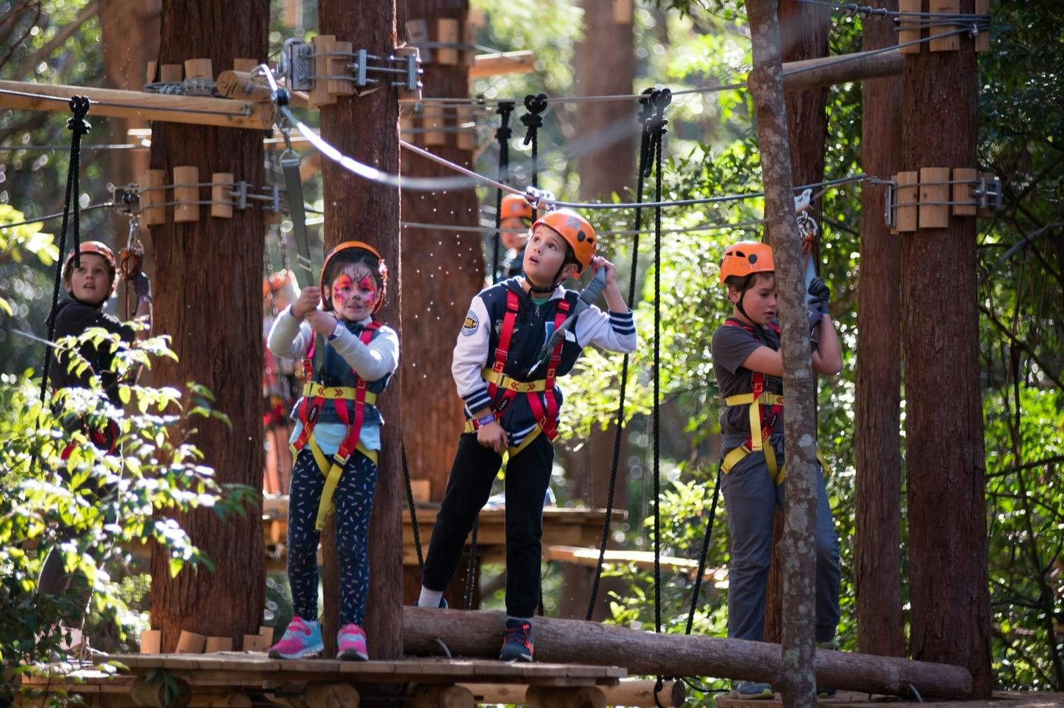 Treetops Adventure Belgrave: Entry Ticket - Photo 1 of 4