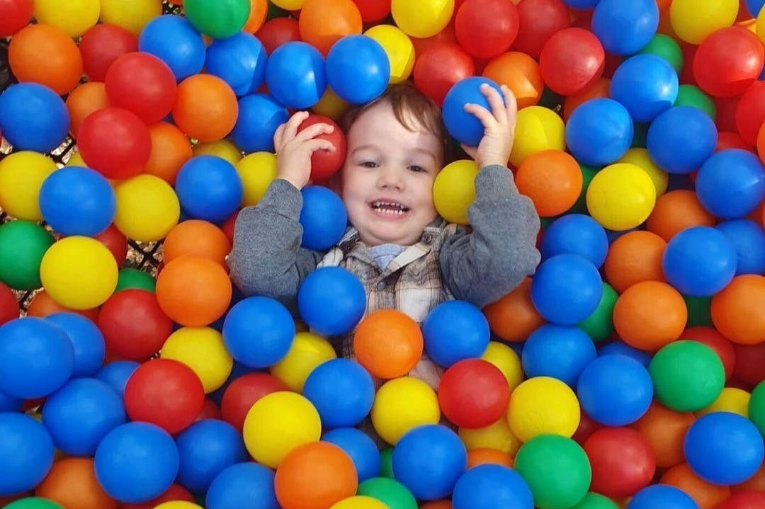 Treetops Adventure Canberra: Entry Ticket - Photo 1 of 3