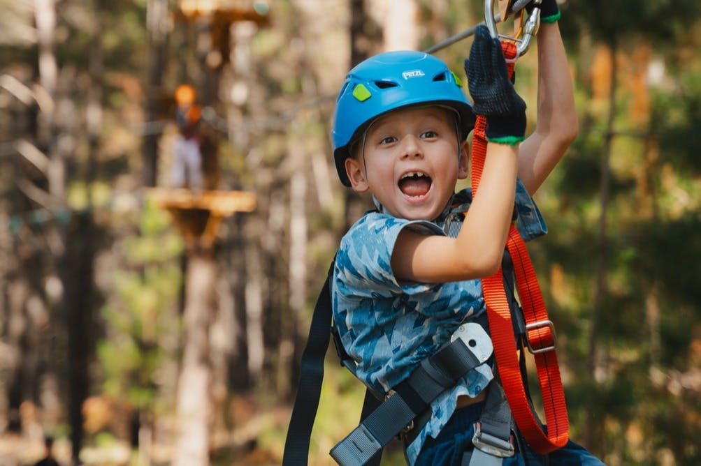 Treetops Adventure Canberra: Junior Ropes Course - Photo 1 of 5