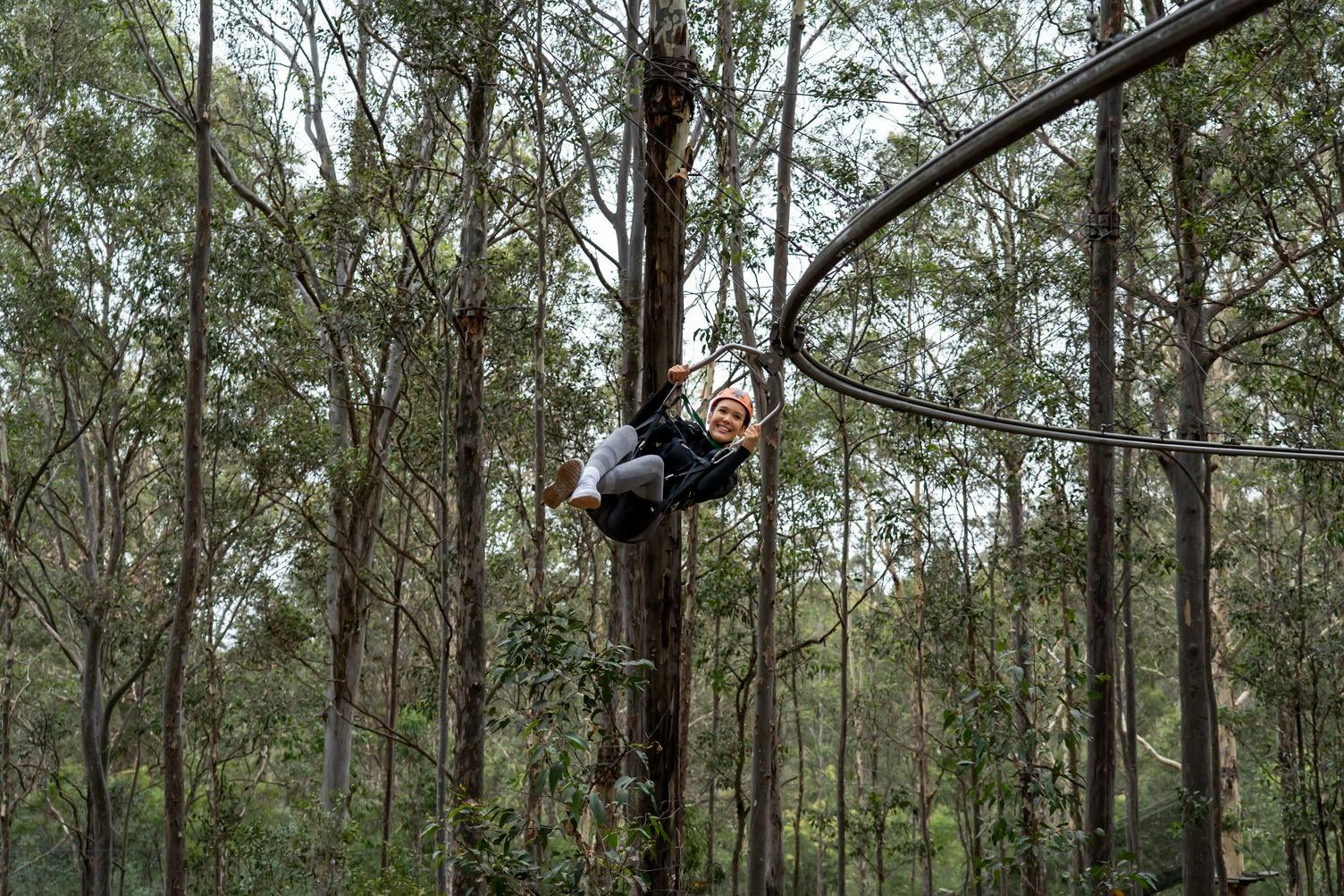 Treetops Adventure Central Coast: Zipcoaster Ride - Photo 1 of 5