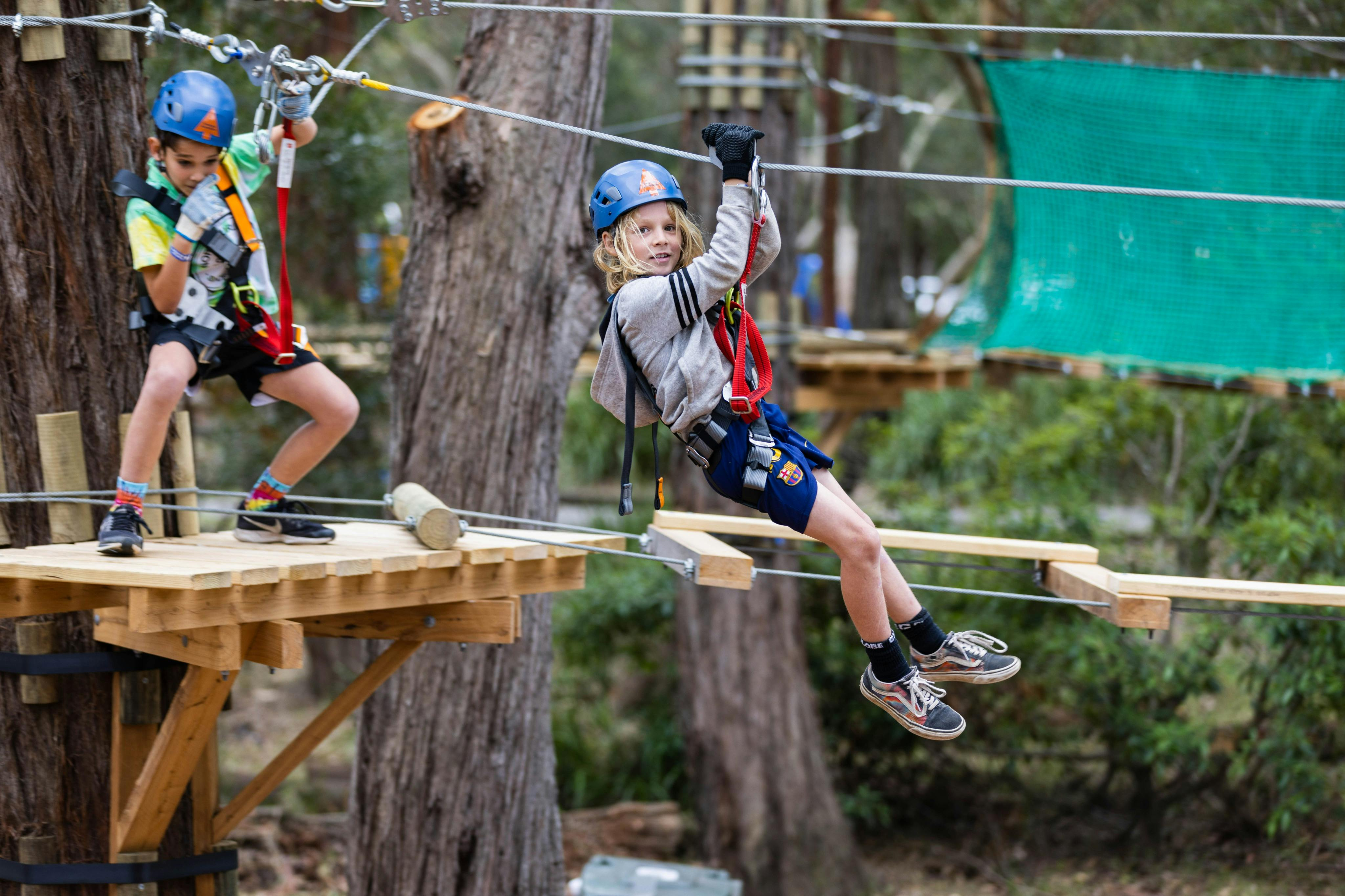 Treetops Adventure Coffs Harbour: Junior Tree Ropes Course - Photo 1 of 4
