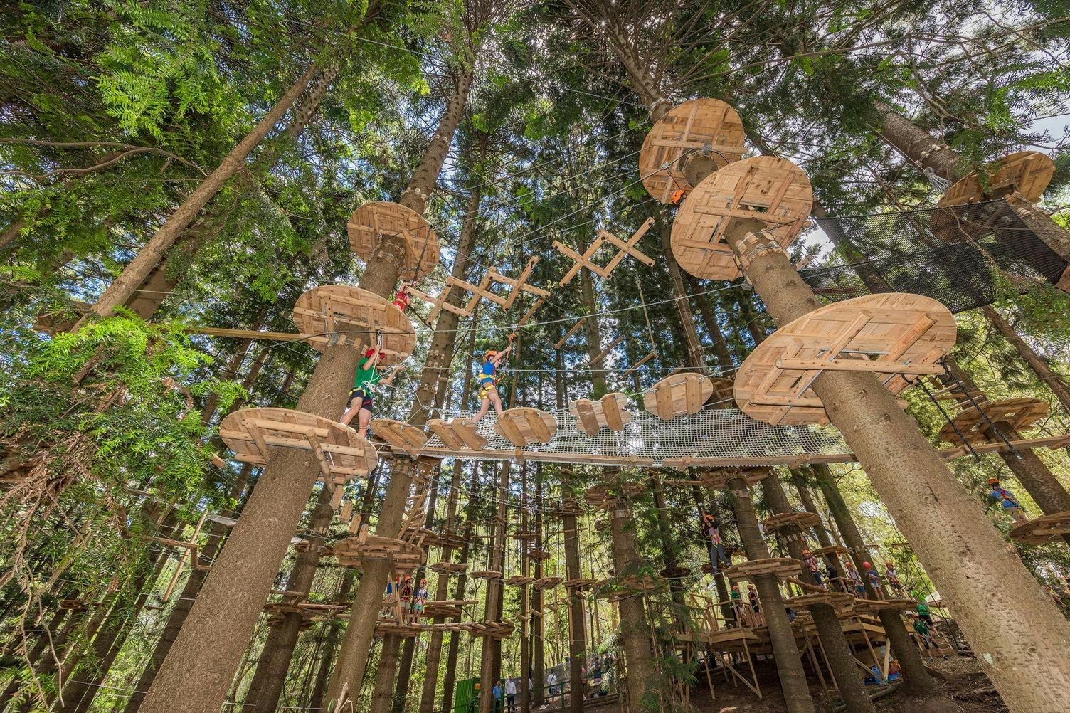 Treetops Adventure - The Hills: Entry Ticket - Photo 1 of 4