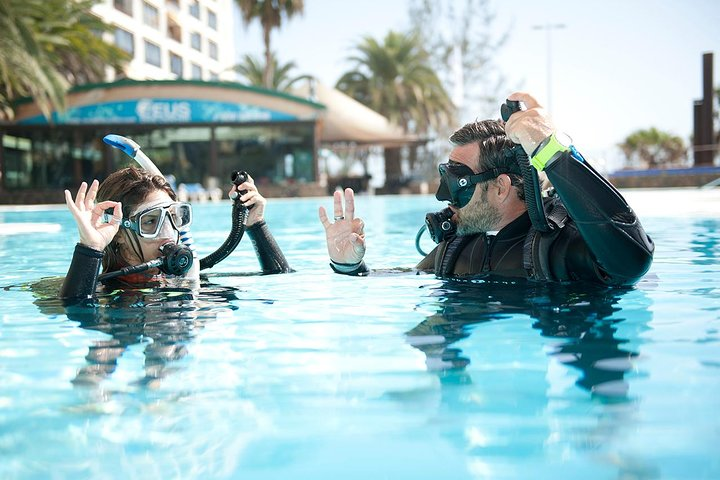 Try Scuba Diving Experience: Sydney - Photo 1 of 2