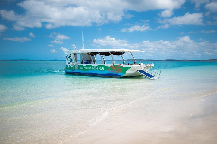 Our glass bottom vessel The Milbi