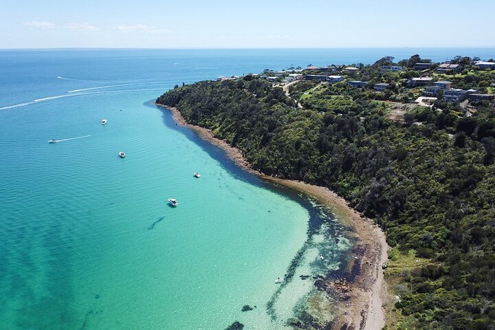 Explore the coastal beauty of Mornington Peninsula where crystal-clear waters meet lush trails providing perfect spots for paddleboarding hiking and relaxation amid stunning scenery. Enjoy a day of adventure!