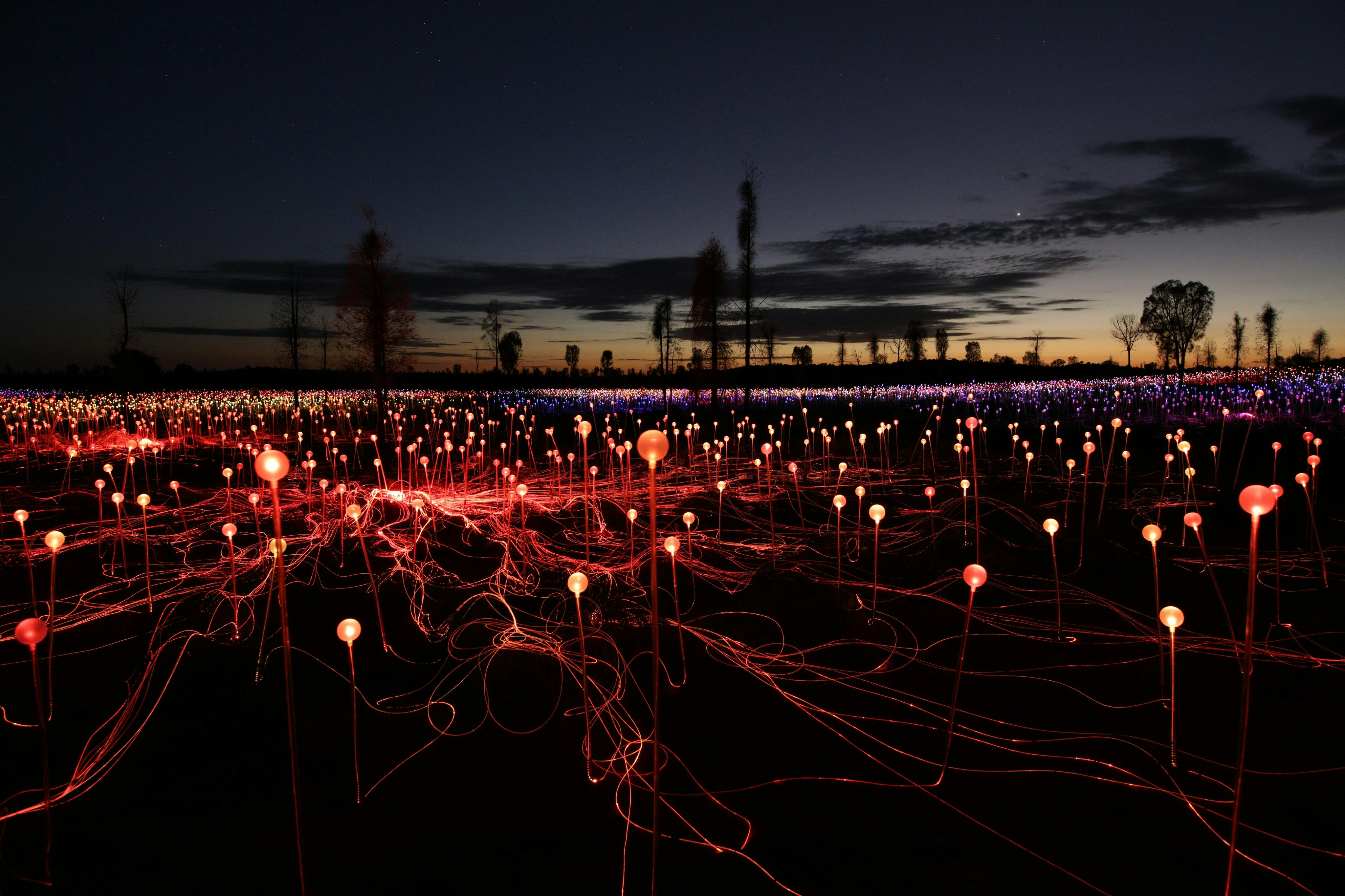 Field of Light Uluru: General Admission + Transfer - Photo 1 of 7