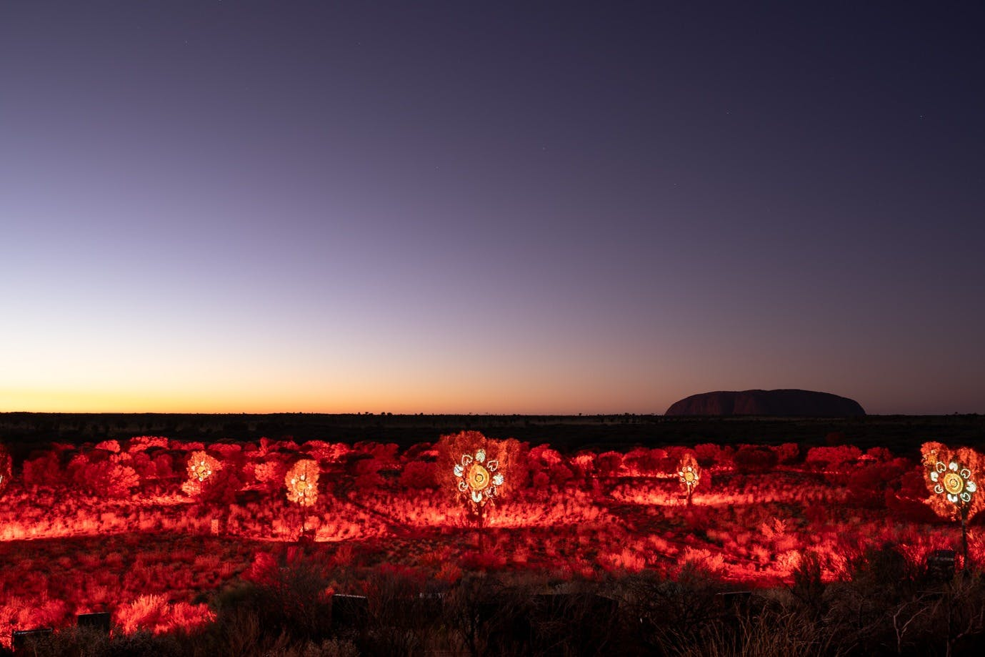 Uluru: Sunrise Tour + Transfers + Audio Guide + Breakfast - Photo 1 of 5