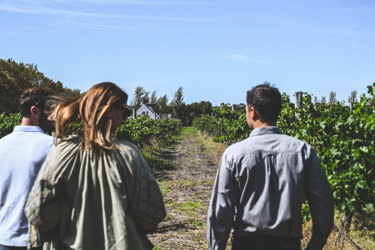 Unearth Voyager: Immersive Private Tour of Voyager Estate - Photo 1 of 5