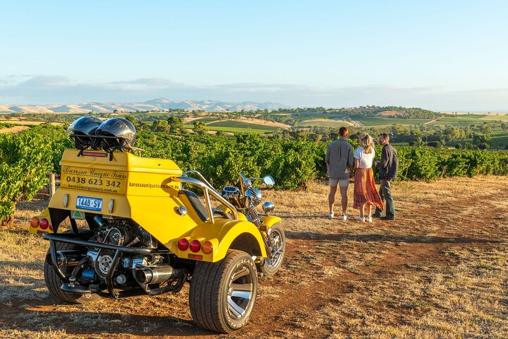 Experience the beauty of Barossa Valley while cruising on a unique trike savoring exquisite wines and views creating unforgettable moments with friends or a loved one.