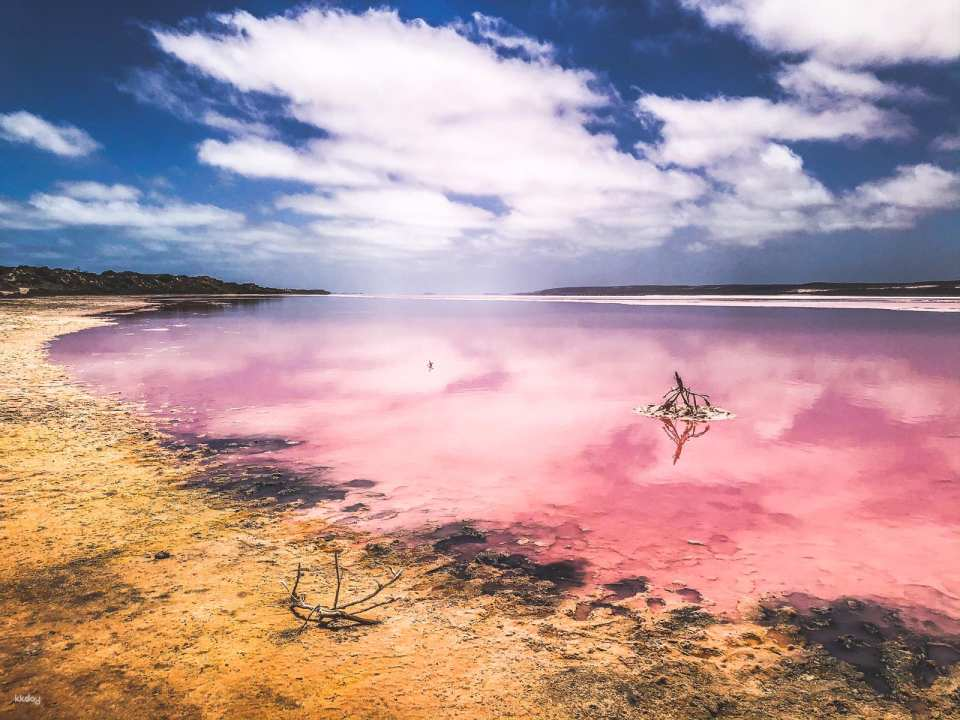 [Up to AUD 50 off] Western Australia: Two-Day Tour of Hutt Lagoon, Pinnacles, Nature's Window, White Sand Dunes, and Pink Lake (Includes Aerial Photography) - Photo 1 of 8