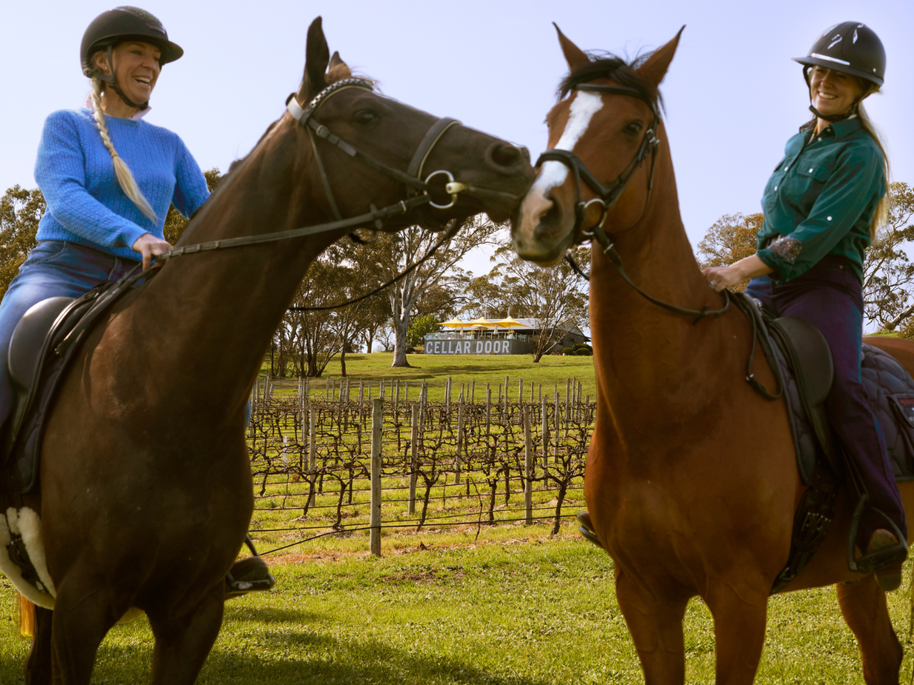VIP Private Horse Trail Ride & Lunch with Olympian Megan Jones at Petaluma (TC) - Photo 1 of 15