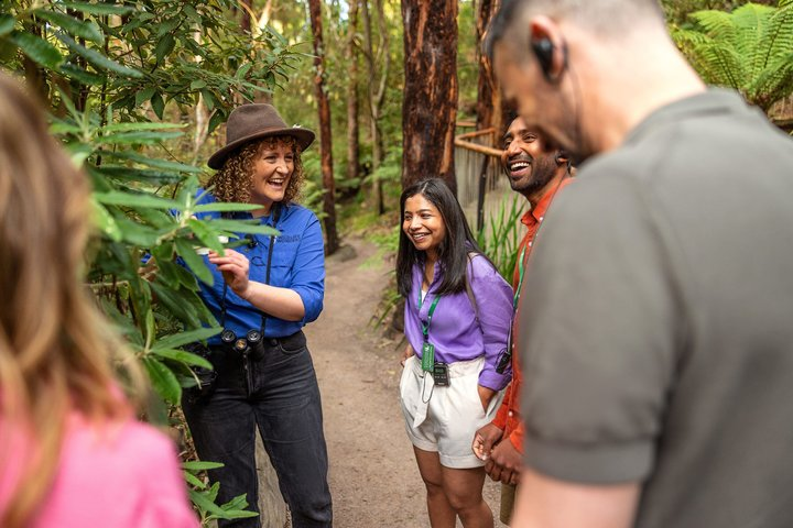 Walk with Wildlife: Guided Tour in Great Ocean Road - Photo 1 of 17