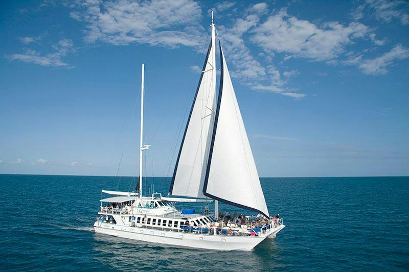 Low Isles: Guided Boat Tour from Port Douglas + Lunch + Snorkelling - Photo 1 of 15