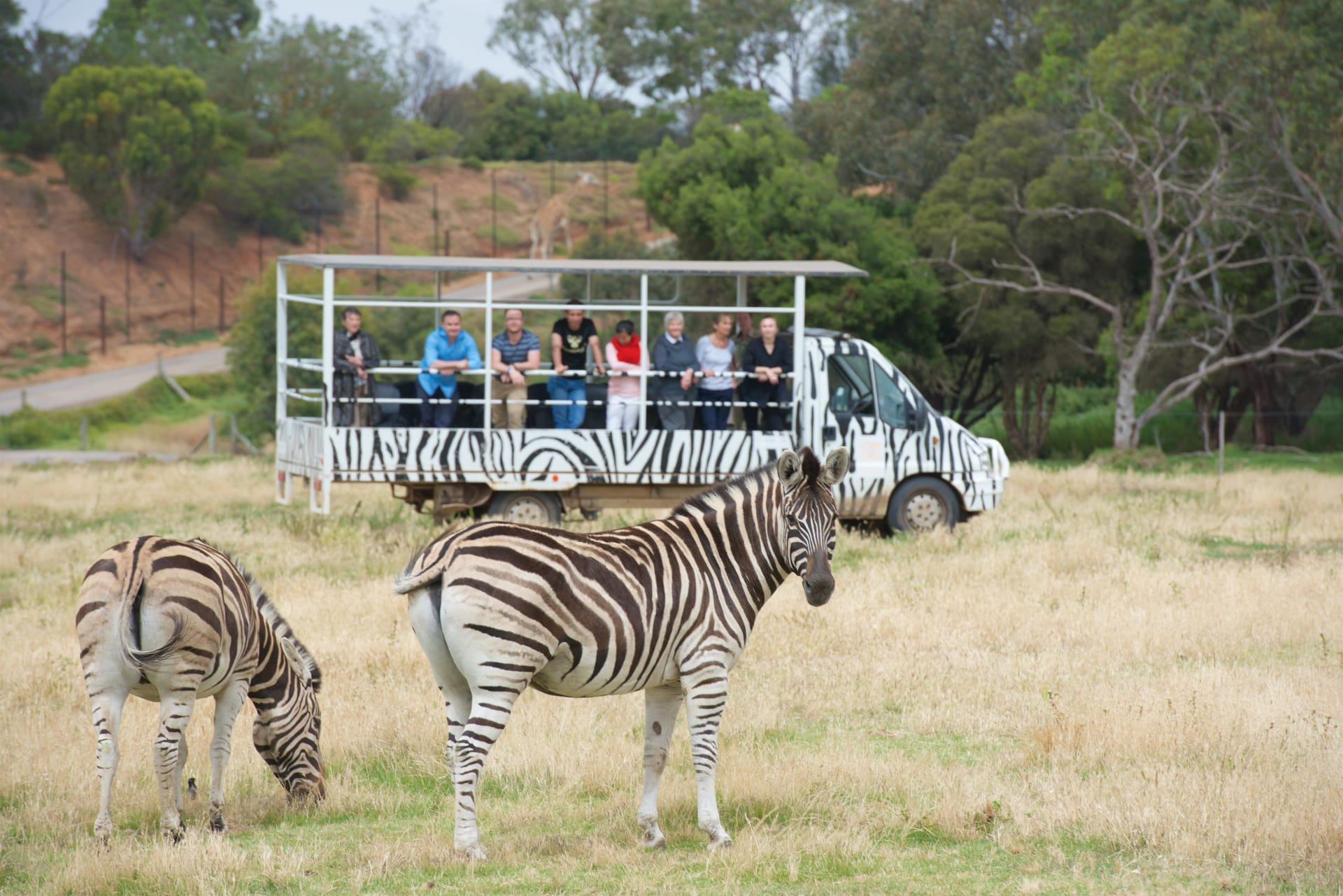 ウェリビー動物園デラックスサファリアドベンチャーツアー - ペラゴ