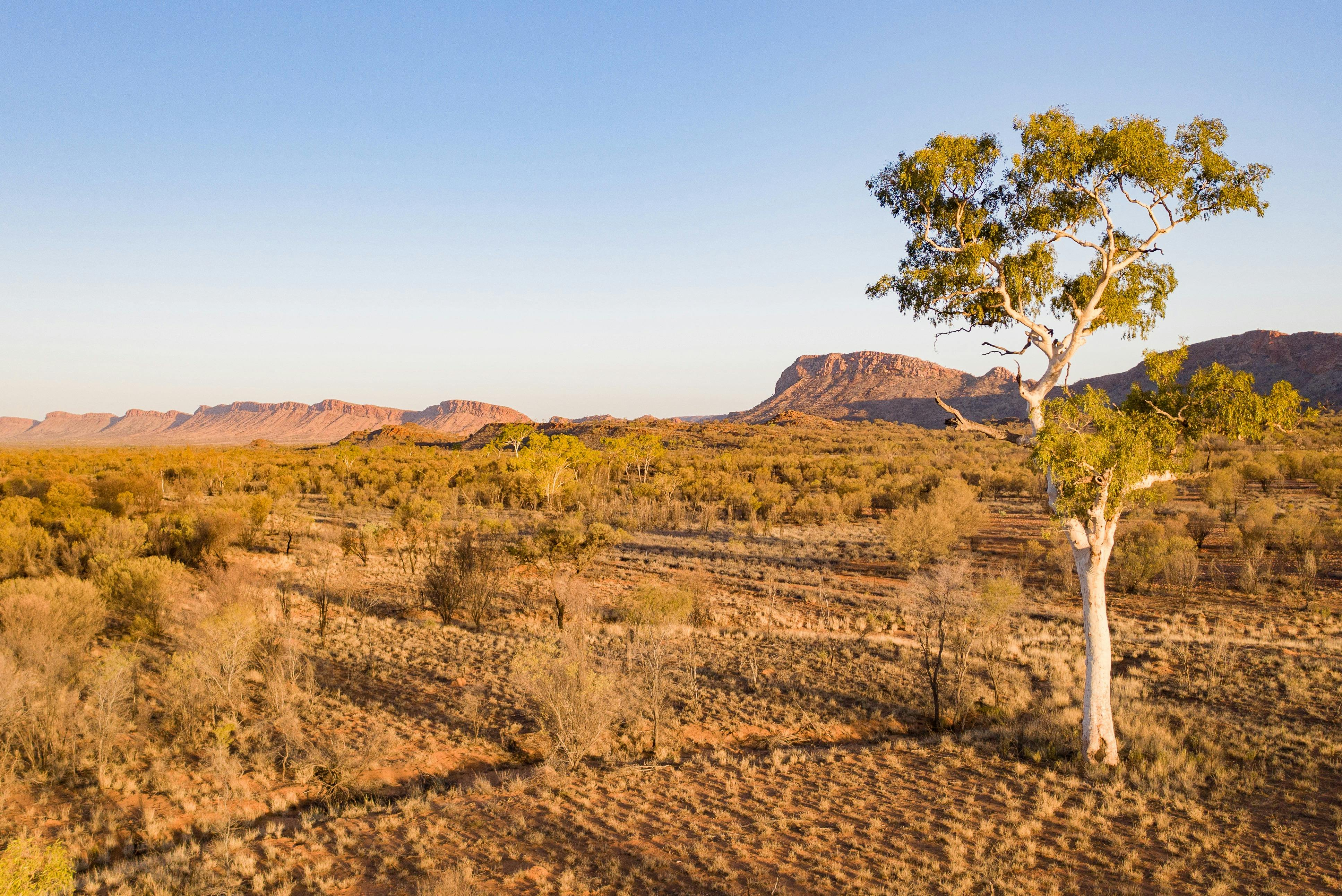 West MacDonnell Ranges: Guided Tour + Roundtrip Transfer + Lunch - Photo 1 of 4