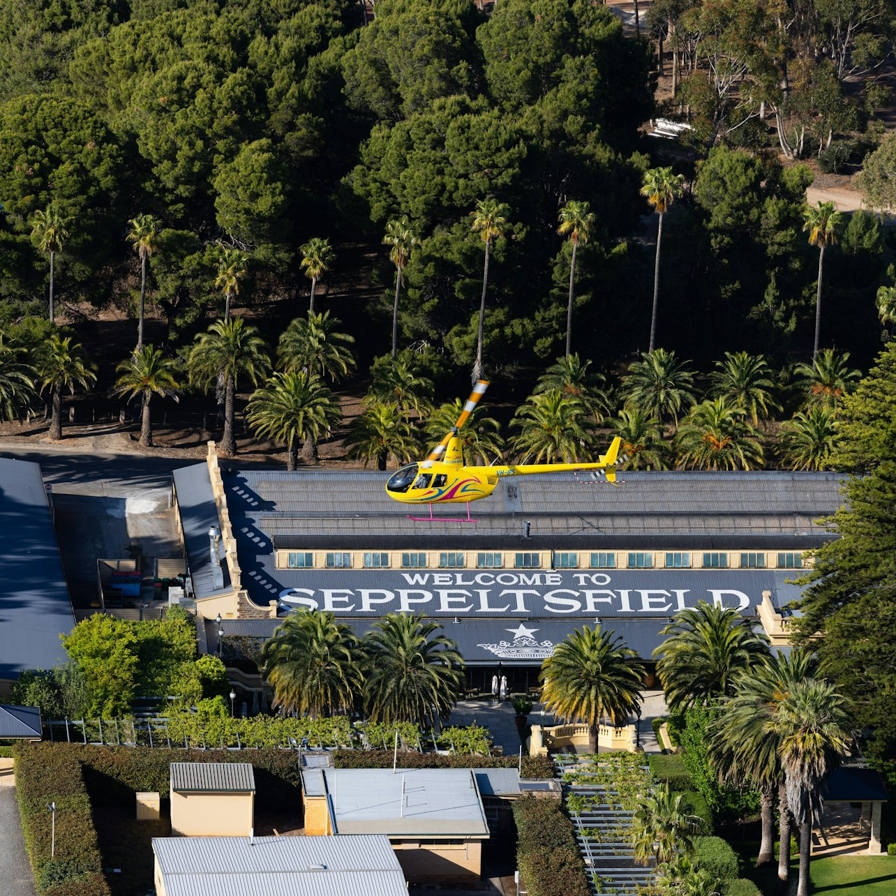 Western Ridge and Valley Floor: 20-Minute Helicopter Flight - Photo 1 of 3