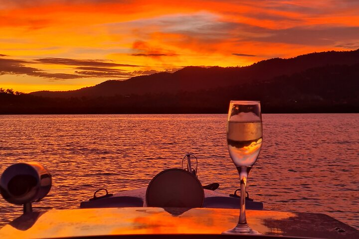 Whisper Cruises Turtle Spotting Sunset Cruise - Electric Boat - Photo 1 of 6