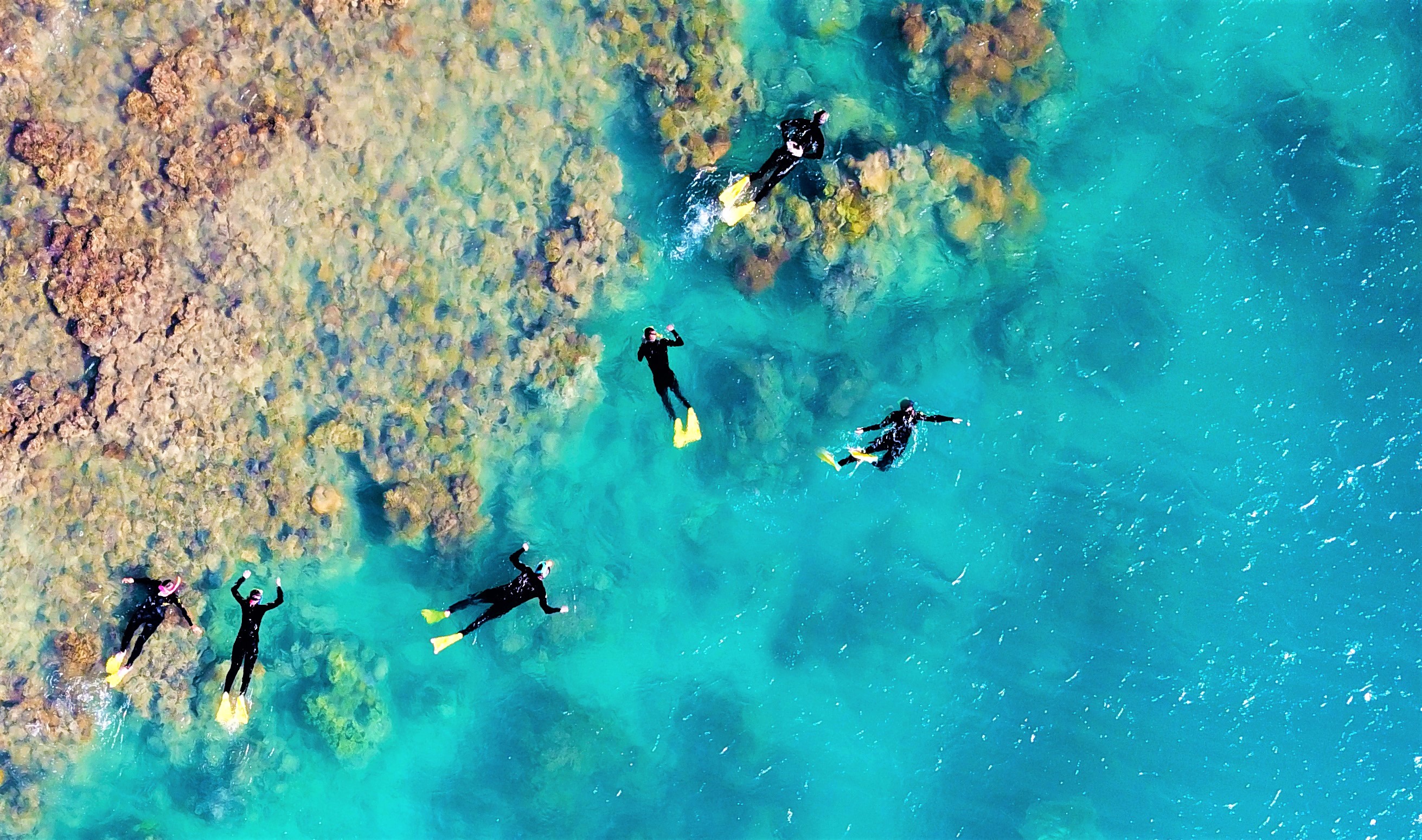 Tour Ngày Câu Lạc Bộ Bãi Biển Whitehaven + Đi Thuyền Về - Photo 1 of 12